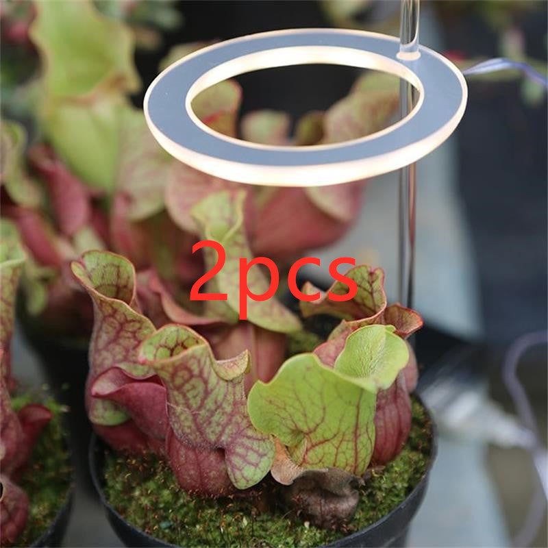 LED Grow Light Full Spectrum Phyto Grow Lamp USB Phyto Lamp for Plants Growth Lighting for Indoor Plant