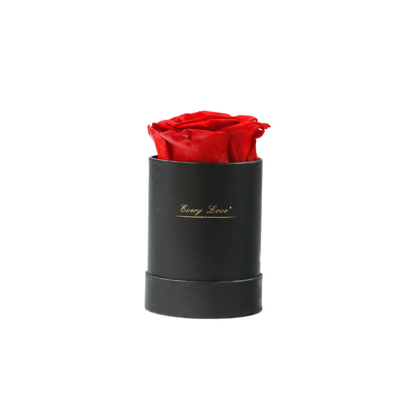 Preserved Flower Flower Pot 1 A- Grade Rose