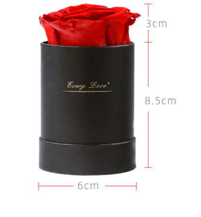 Preserved Flower Flower Pot 1 A- Grade Rose