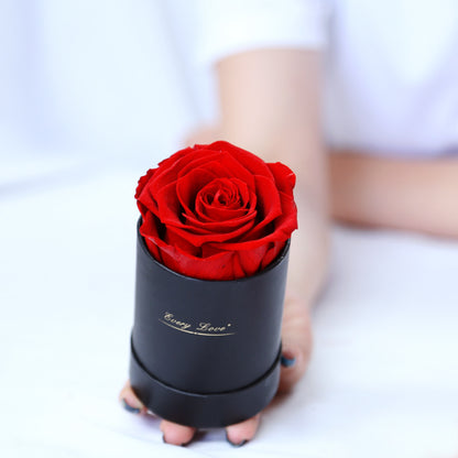 Preserved Flower Flower Pot 1 A- Grade Rose