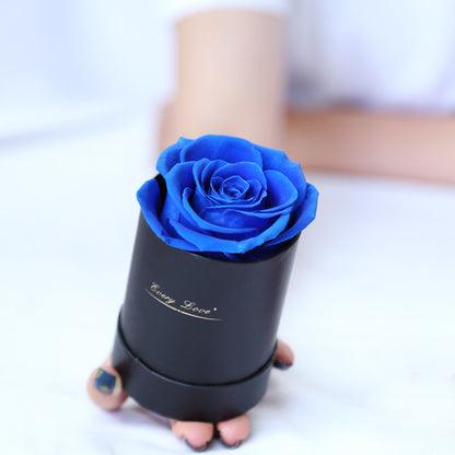 Preserved Flower Flower Pot 1 A- Grade Rose