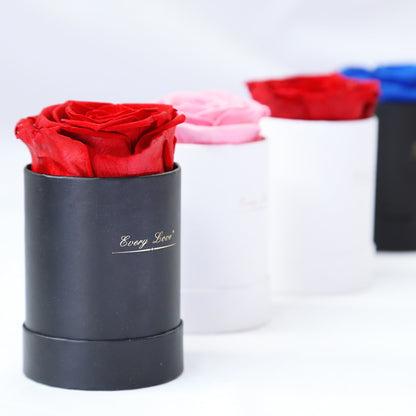 Preserved Flower Flower Pot 1 A- Grade Rose