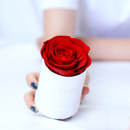 Preserved Flower Flower Pot 1 A- Grade Rose