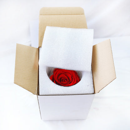 Preserved Flower Flower Pot 1 A- Grade Rose